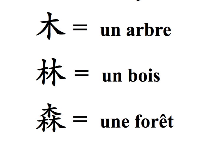 Bénéfices du chinois pour les enfants Les bénéfices du chinois pour les enfants