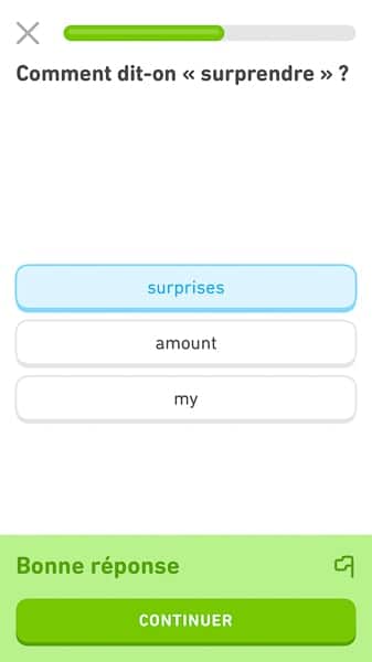 Duolingo L Application Qu Il Vous Faut L Avis De Devenir Bilingue