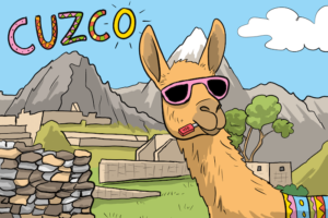 Un llama au Pérou illustre l'application pour l'espagnol Hotel Borbollon