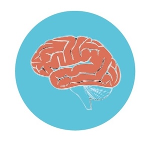 Cerveau multilingue maladie