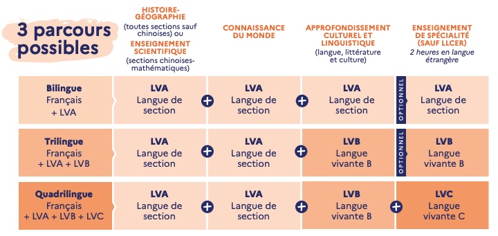 Récapitulatif du programme BFI pour les élèves bilingues, trilingues, quadrilingues